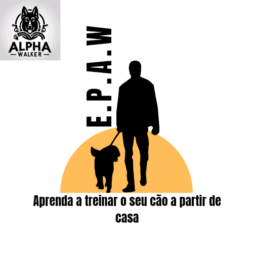 Imagem do Curso